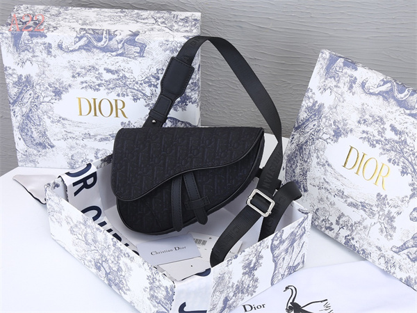 Dior Bags AAA 025